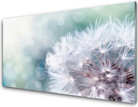 Szkło do Kuchni na Ścianę Puszysty Mniszek Lekarski