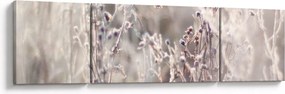 Obraz - Roślina (170x50 cm)
