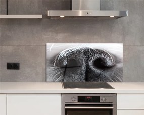 Szkło Ozdobne do Kuchni Zbliżenie na Psi Nos