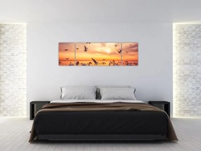 Obraz - Łabędzie (170x50 cm)