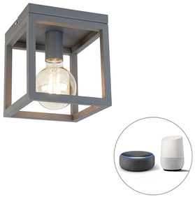 Inteligentna lampa sufitowa w stylu industrialnym ciemnoszara w komplecie z WiFi G95 - Cage Nowoczesny Oswietlenie wewnetrzne