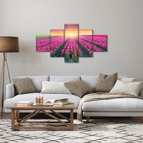 Obraz pole tulipanów ze słońcem (125x70 cm)