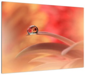 Obraz kwiecistej kropli rosy (70x50 cm)
