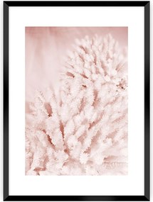 Plakat Pastel Pink II