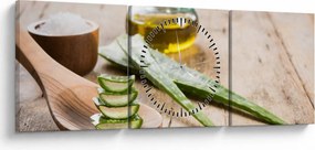 Obraz - Aloes (z zegarem) (90x30 cm)