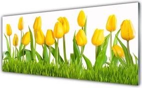 Panel Szklany do Kuchni Elegancja Czerwonych Tulipanów