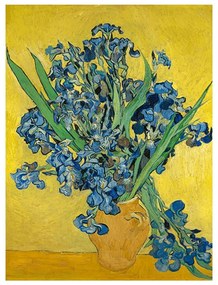 Reprodukcja obrazu Vincenta van Gogha – Irises, 60x45 cm