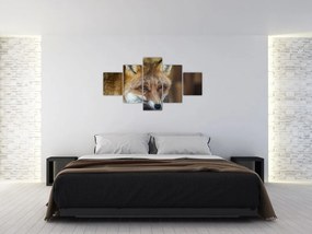 Obraz lisa (125x70 cm)