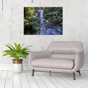Obraz na szkle australijskiego lasu deszczowego (70x50 cm)