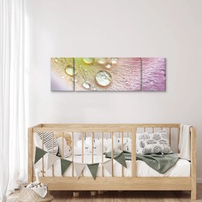 Obraz - Kropelki (170x50 cm)