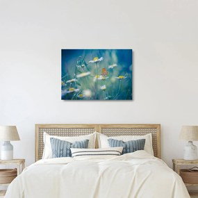 Obraz na szkle - Motyl na stokrotce (70x50 cm)