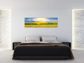 Obraz - Pole słoneczników (170x50 cm)
