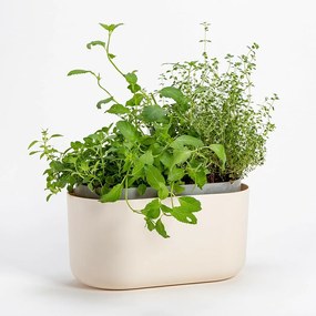 Plastia Donica samonawadniająca Tolita beżowy, 31 x 16 cm