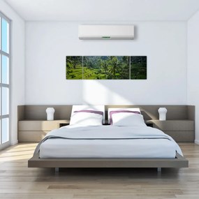 Obraz tarasów ryżowych Tegalalang, Bali (170x50 cm)