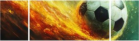 Obraz - Piłka nożna w locie (170x50 cm)