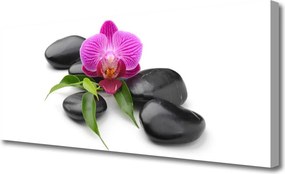 Obraz na płótnie Artystyczny Balans Natury