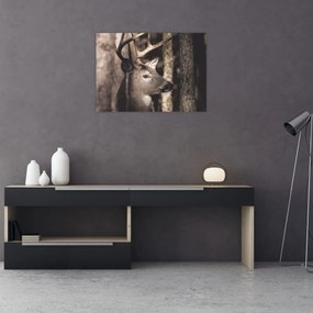 Obraz - Jeleń w lesie (70x50 cm)