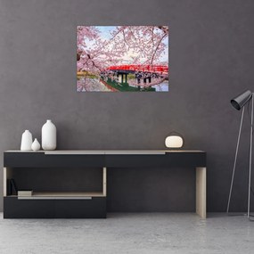 Obraz - Hirosaki, Japonia (70x50 cm)