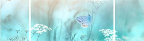 Obraz - Motyl w niebieskim (170x50 cm)