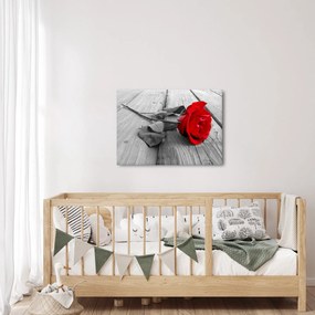 Obraz czerwonej róży (70x50 cm)