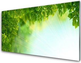 Panel Szklany Botaniczny Detal Liści
