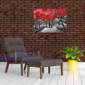 Obraz na szkle - Czerwone drzewa, Central Park, New York (70x50 cm)