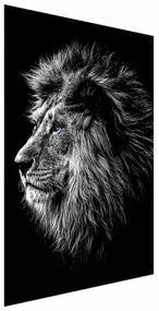 Plakat Niebieskooki lew 21x30 cm bez ramy bez marginesu ARTGEIST B