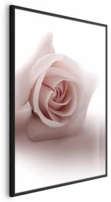 Plakat Różany cień 60x90 cm z ramą czarną bez marginesu ARTGEIST B