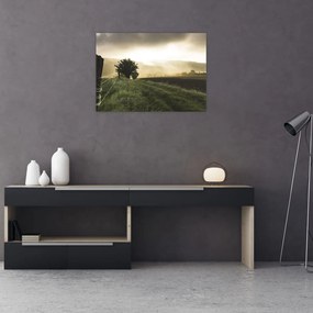 Obraz łąki (70x50 cm)