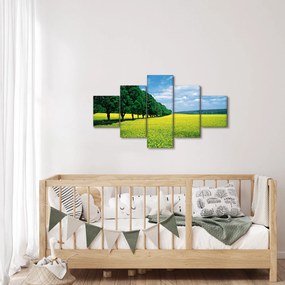 Obraz pola z aleją (125x70 cm)