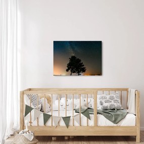 Obraz nocnego nieba z drzewami (70x50 cm)