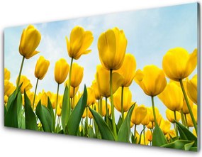 Panel Szklany Pole Tęczowych Tulipanów