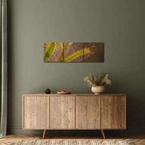 Obraz rośliny (z zegarem) (90x30 cm)