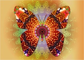 Obraz na szkle - Etno motyl (70x50 cm)