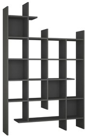 Biblioteka Manco Anthracite
