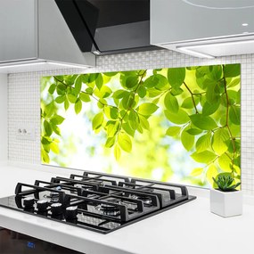 Szkło do Kuchni na Ścianę Świeże Zielone Liście