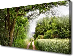 Fotoobraz na płótnie Ścieżka przez Słoneczny Las