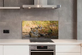 Panel szklany do Kuchni Królewska Para Tygrysów