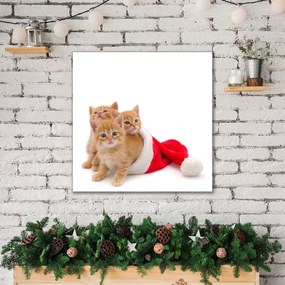 Obraz Canvas Koty Święta Święty mikołaj