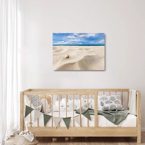 Obraz na szkle - Muszle na plaży (70x50 cm)