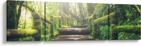 Obraz - drewniane schody w lesie (170x50 cm)