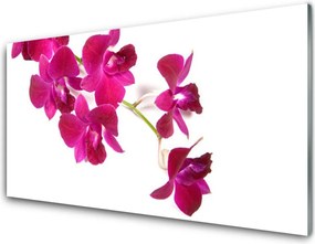 Szkło do Kuchni na Ścianę Wiosenny Powiew Kwiatowy