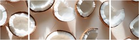 Obraz - Kokosy (170x50 cm)