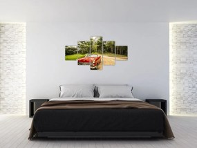 Obraz - zabytkowy samochód w przyrodzie (125x70 cm)