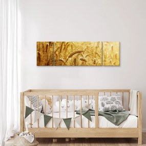 Obraz - Kłosy zboża (170x50 cm)