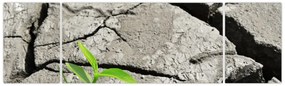 Obraz - Pęknięcia (170x50 cm)