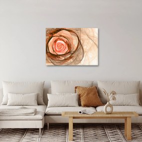 Obraz - Abstrakcyjny róż z białym tłem (70x50 cm)