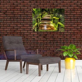 Obraz na szkle - schody w deszczowym pralesie (70x50 cm)