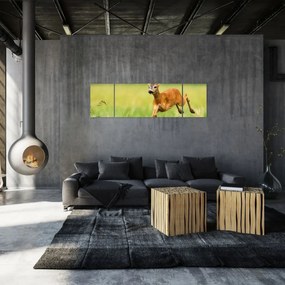 Obraz - Sarna (170x50 cm)