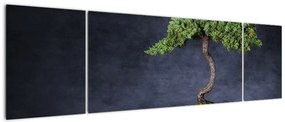 Obraz - Bonsai (170x50 cm)